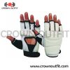 taekwondo gloves